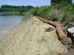 fiber logs